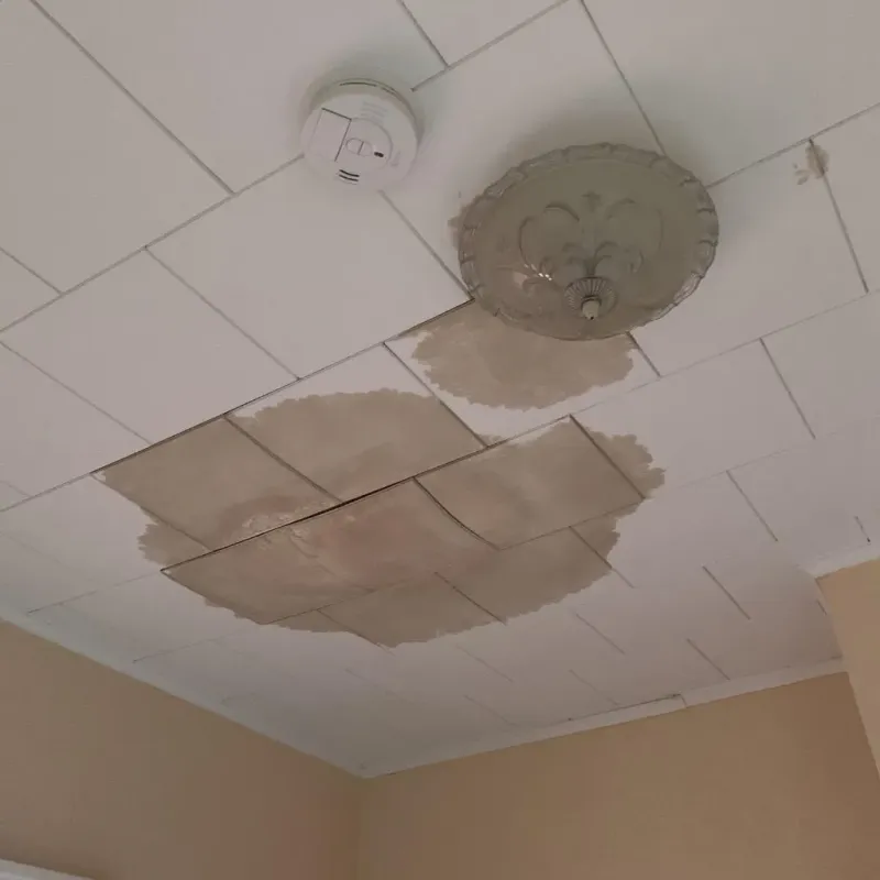 Ceiling Water Damage Repair in Howe, TX