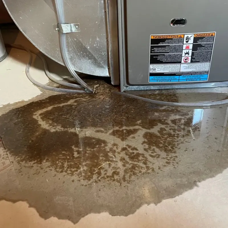 Pipe Burst and Leak Restoration in Howe, TX