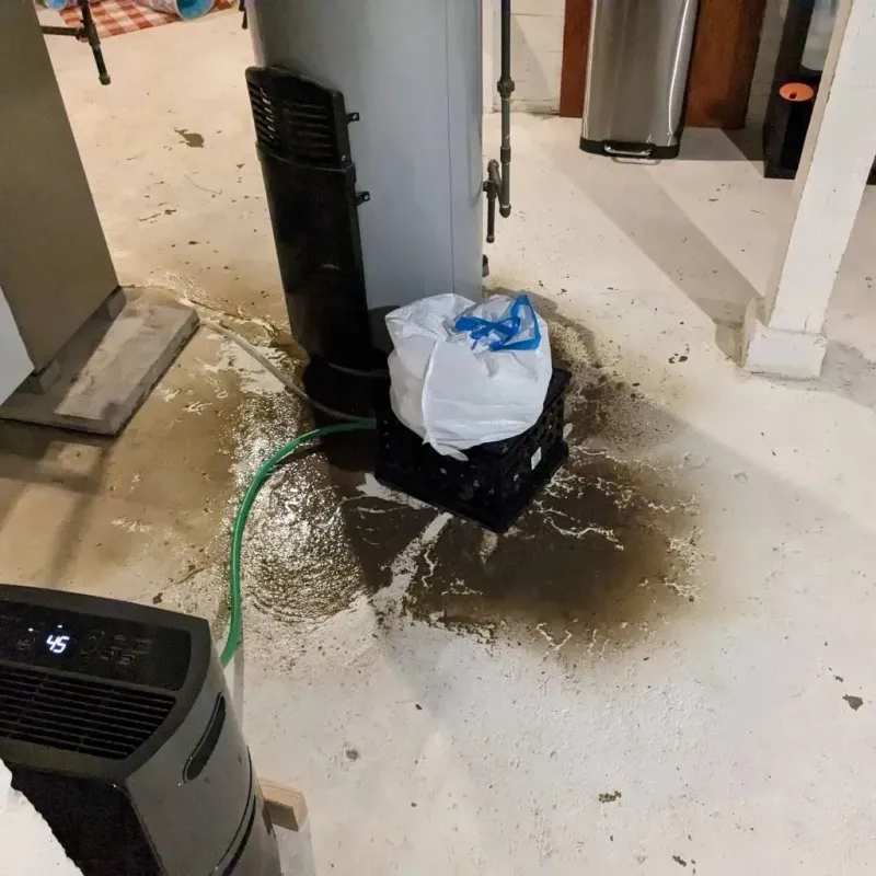 Sewage Backup Cleanup Service in Howe, TX